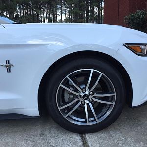 2015 Mustang V6 Convertible