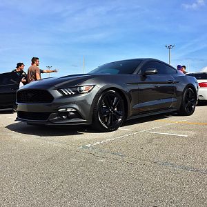15 Eco