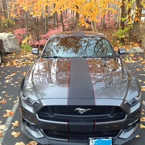 My Stang
