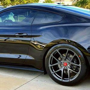 2015 PP GT