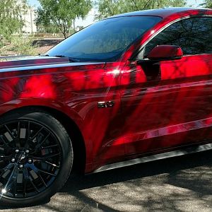 My 2016 Ruby Red Roushcharged awesomeness.