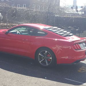 Louver pics