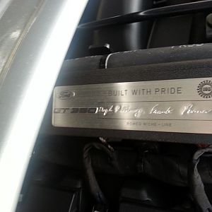 GT350
