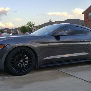 My 16 Magnetic Ecoboost
