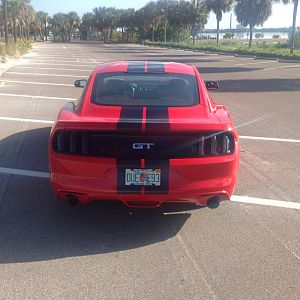 New stripes