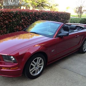 Previous mustangs