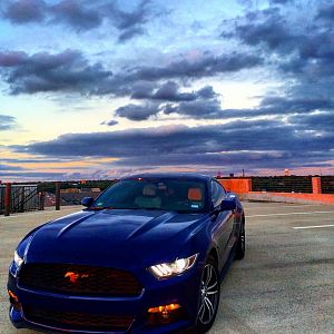 2015 Modified ecoboost