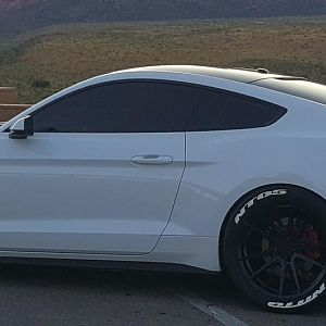 2015 Mustang GT
