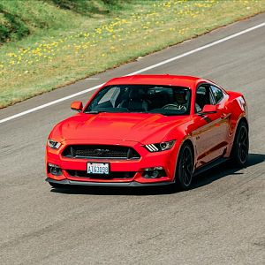 2015 GT PP