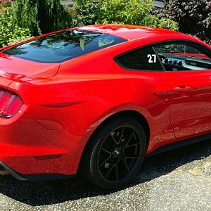 2015 GT PP