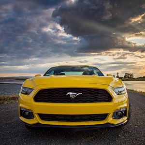2016 yellow ecoboost Mustang