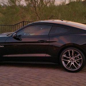 my 16
