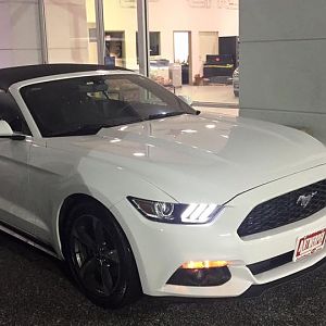 My '15 Oxford White Vert