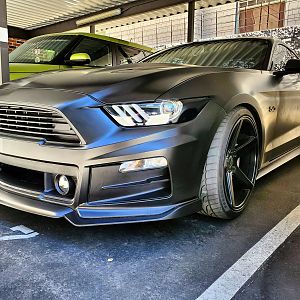 The Stang