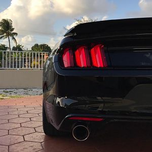 2016 ECO MUSTANG