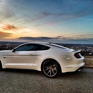 GT
