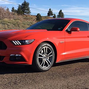 16 GT