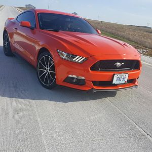 My Car