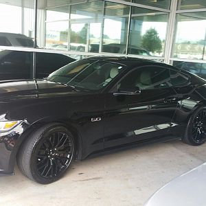 2015 GT