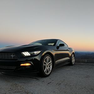 Stock Pics