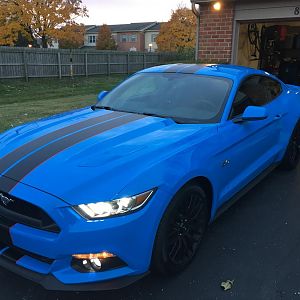 stang