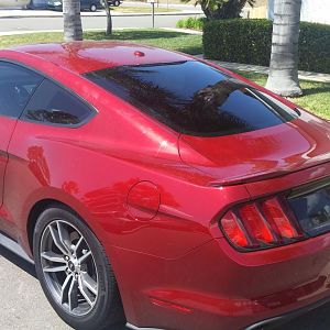 My Red Ruby Princess