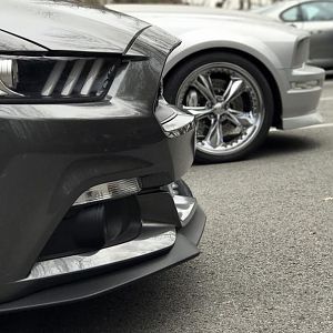 My Beast or Beauty?