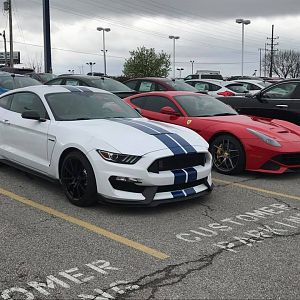 Mine GT350
