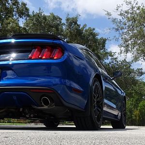 My Mustang