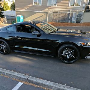 Ecoboost