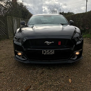 Beast
