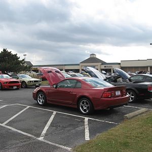 My Cars