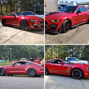 Newmoon's cars