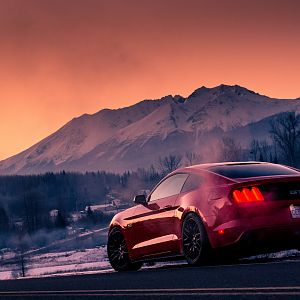 Dale car winter
