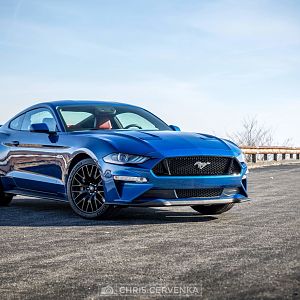 2015 50th anniversary gt #751