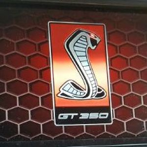 GT 350