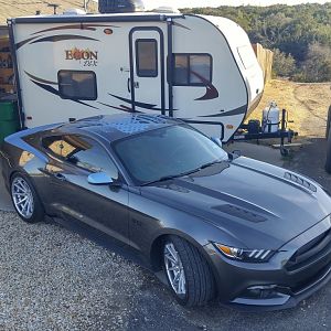 2015 GT