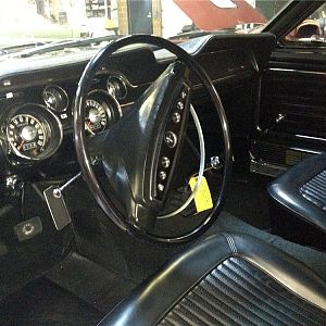 My First Mustang