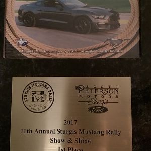 2016 GT 350