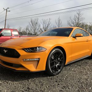 2018 Ecoboost Premium PP