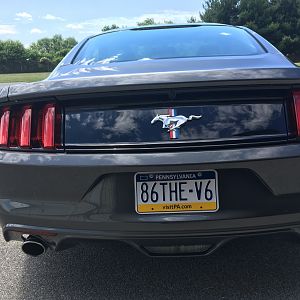 My V6