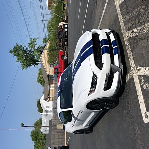 GT350