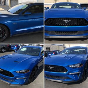 Velocity Blue