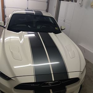 Stripes