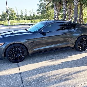 Mustang Life