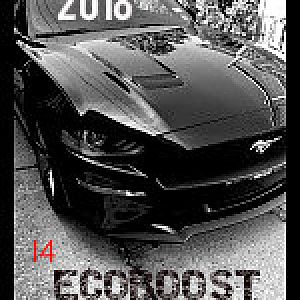 2018 ECOBOOST PREMIUM A10