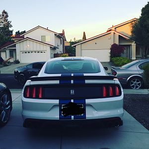 2017 GT350