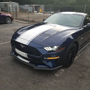Shimmy's 18 Mustang