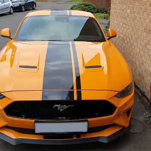 Stang