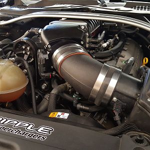 Whipple Stage 2